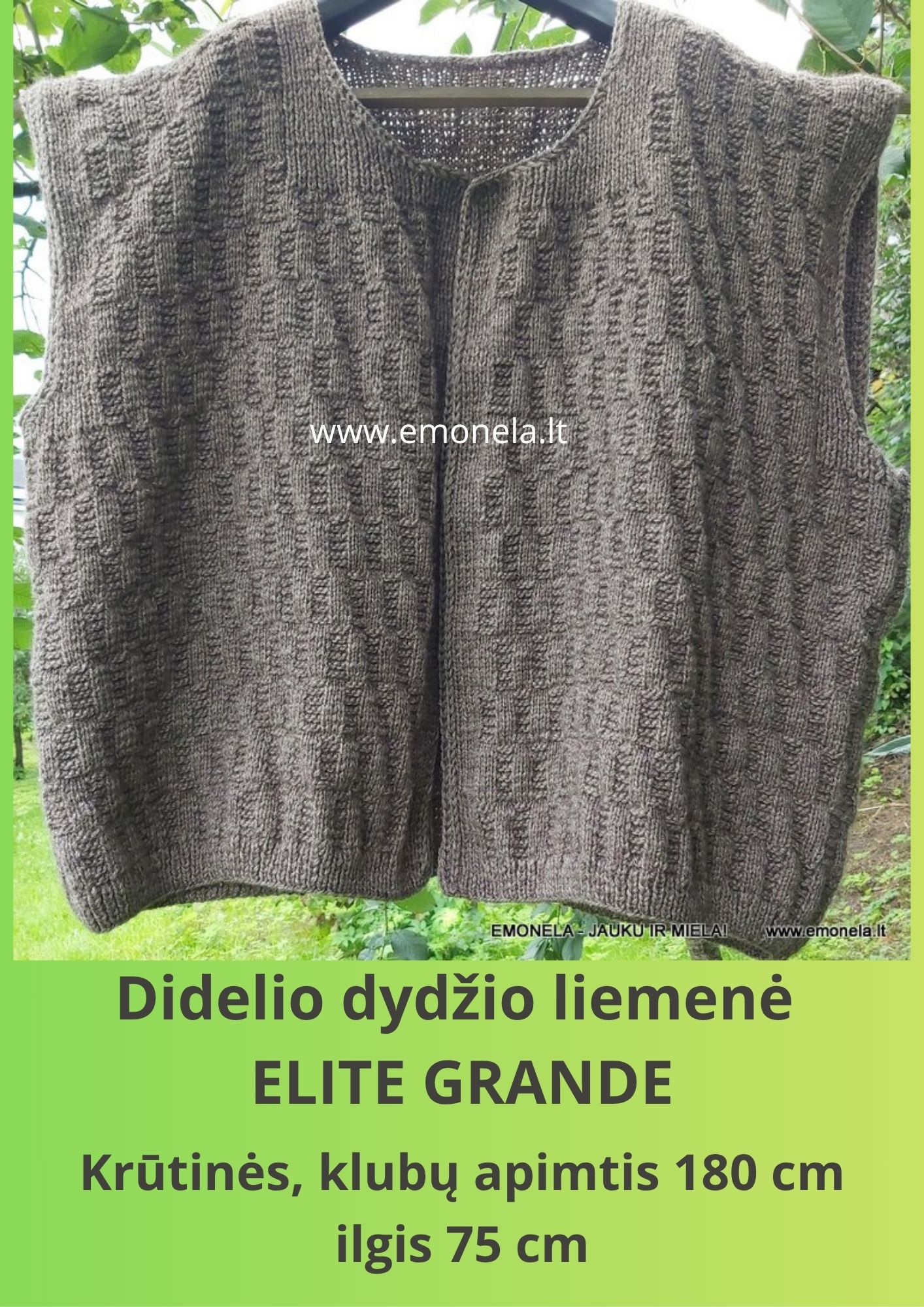 DIDELIO DYDŽIO MEGZTA LIEMENĖ