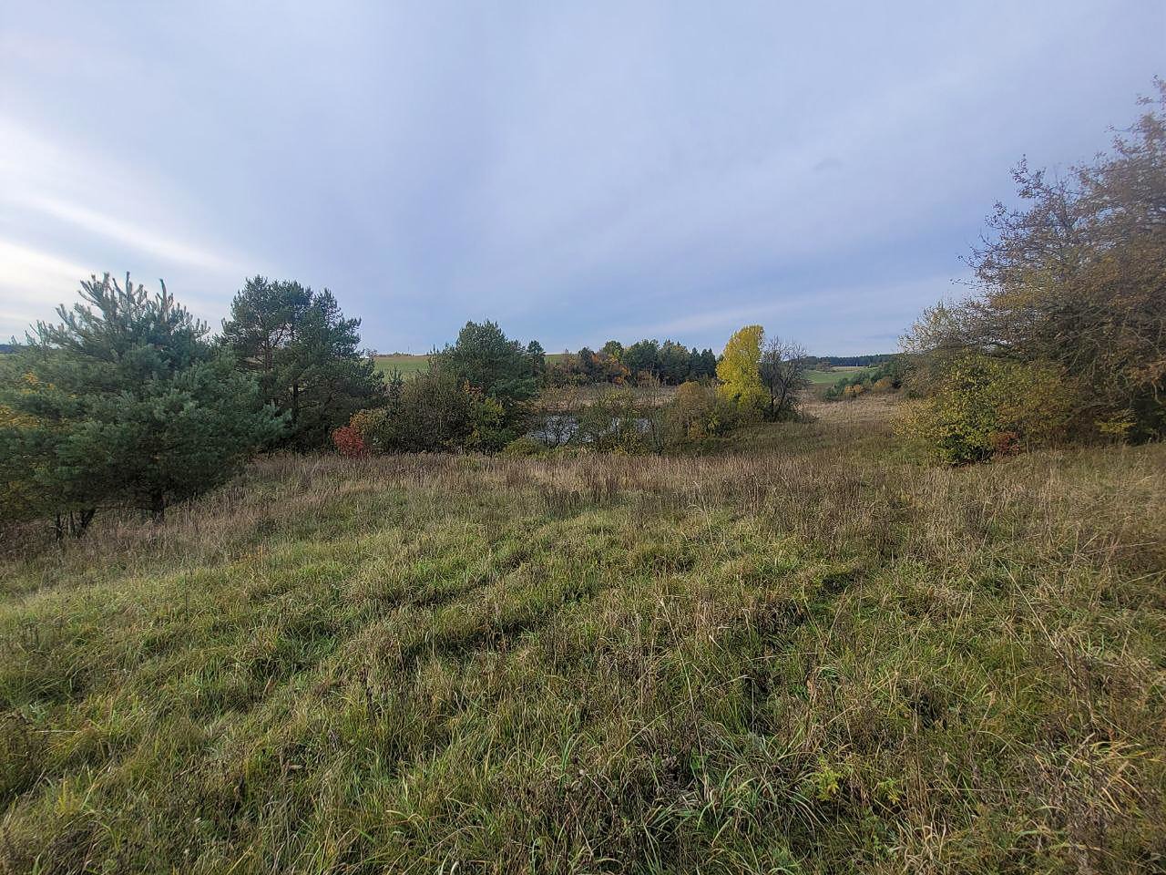 Parduodamas 1,808 ha žemės ūkio paskirties sklypas Varėnos r., Kucakiemio k., prie Sidariškių ežero.